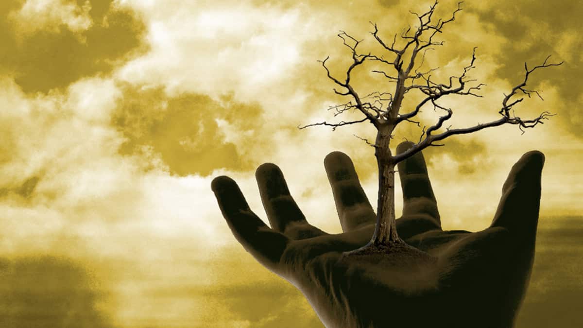 Searching for Wisdom in the 21st Century