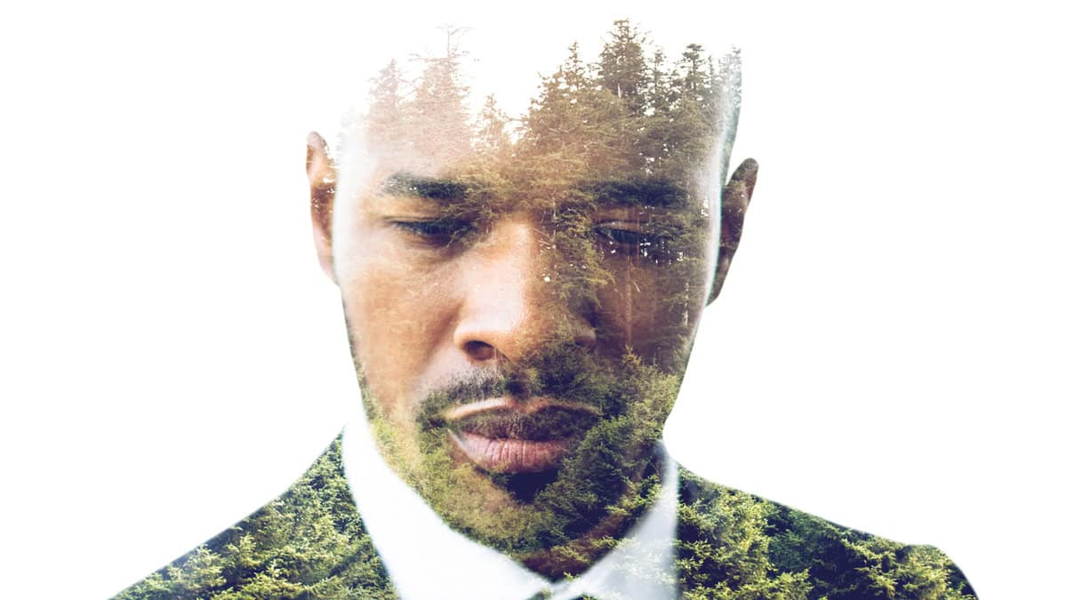 The Rise of the Benefit Corporation: Bringing More Sanity, Sustainability, and Success to Big Business