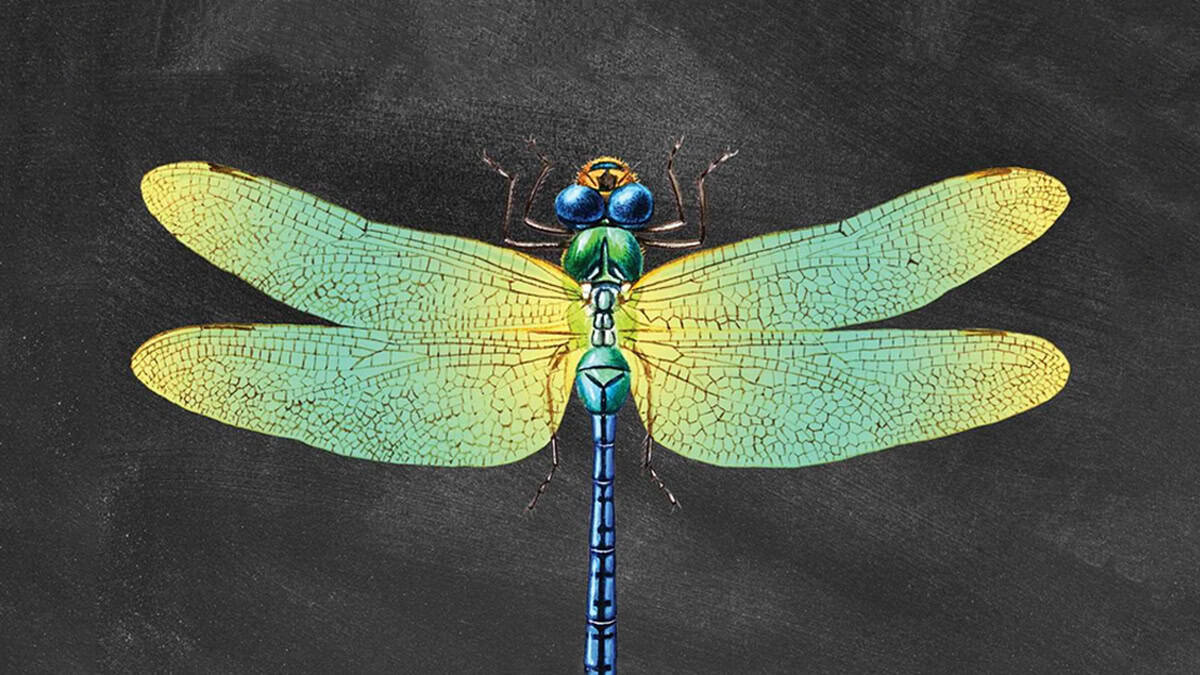 From F#@king Up to Waking Up: A Tale of Addiction, Volition, and Liberation