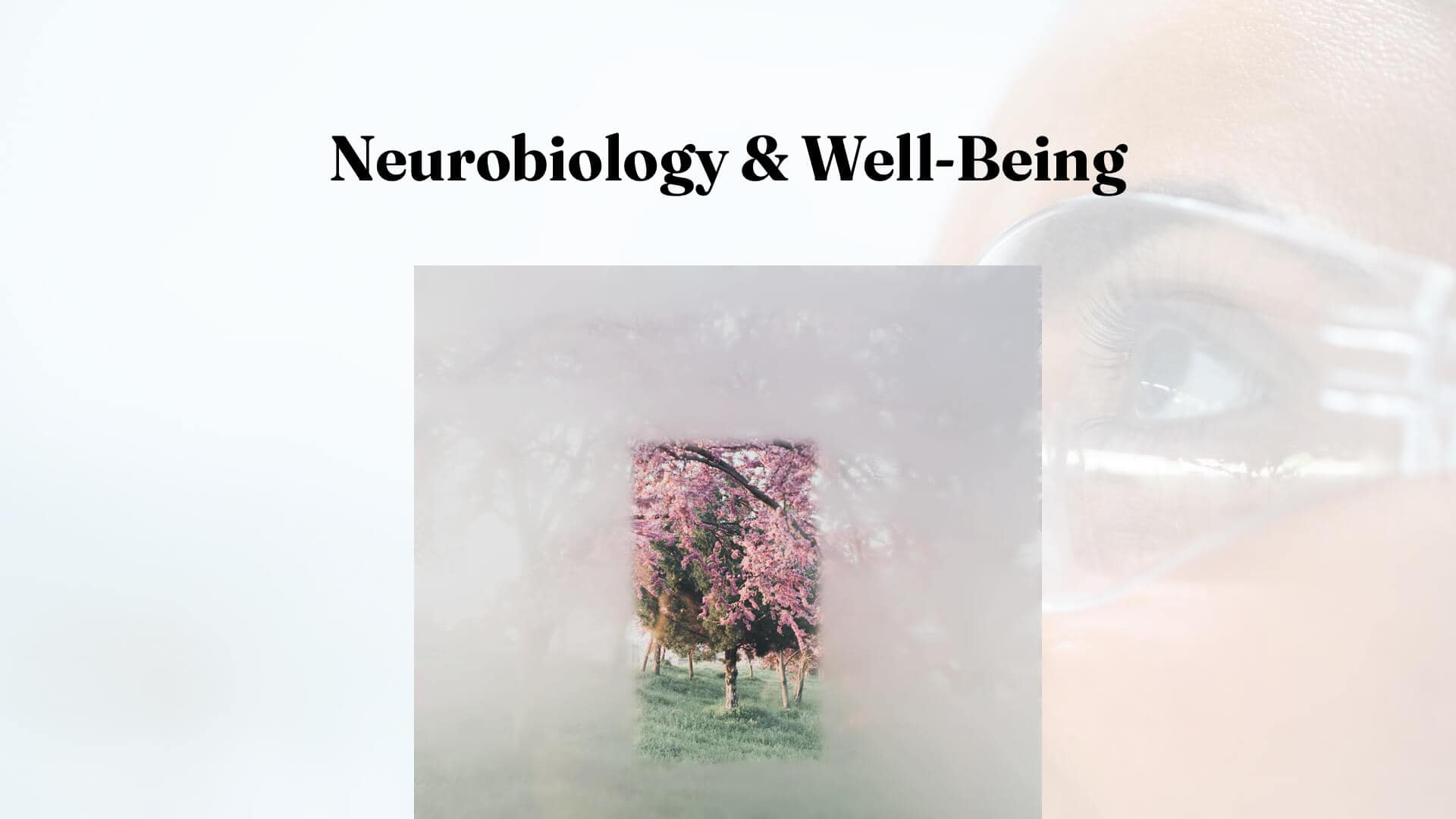 Neurobiology & Well-Being