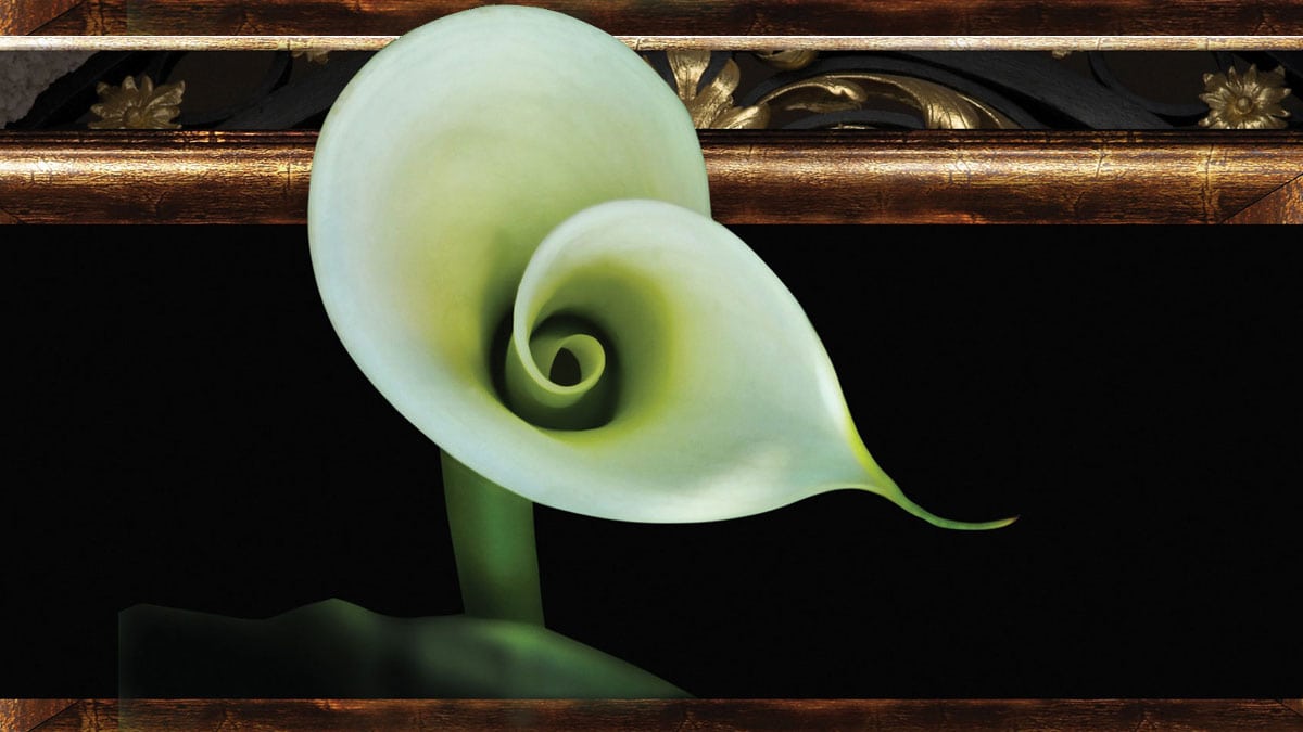 The Energetic Properties of Beauty, Truth, and Goodness