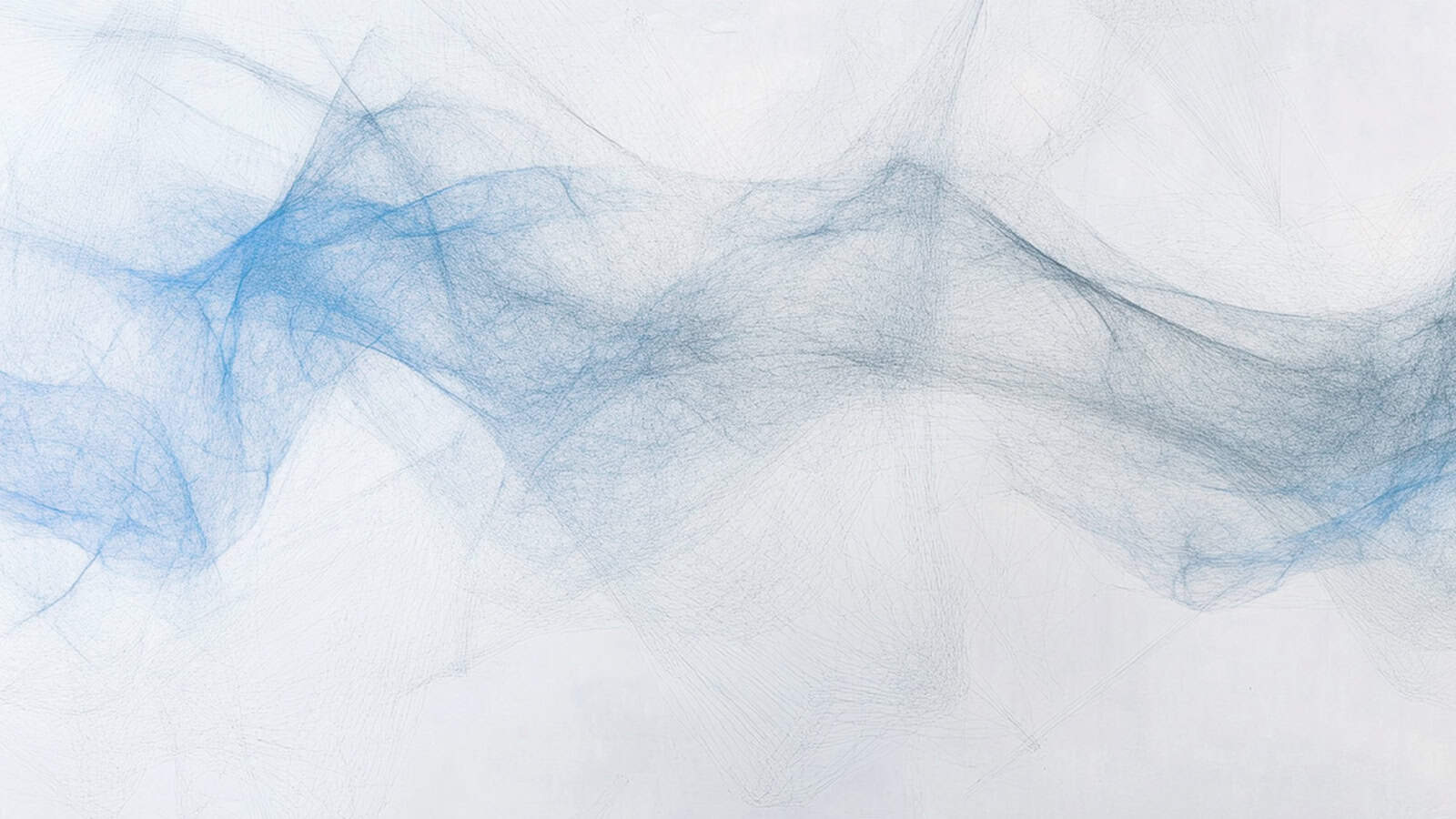 What We’ve Learned: 2024 Reflections and Looking Ahead to 2025