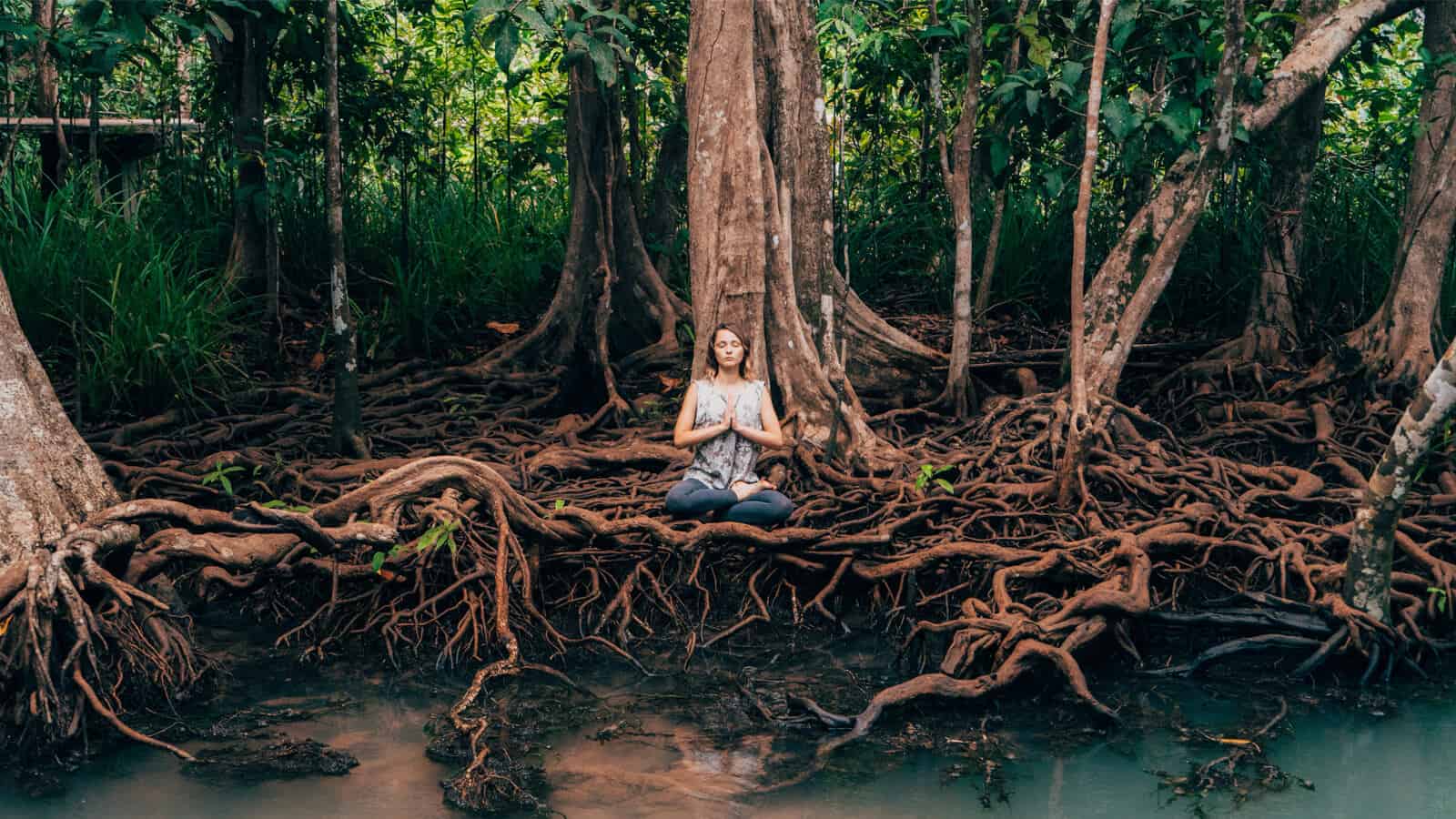 Inhabit: Your Ground