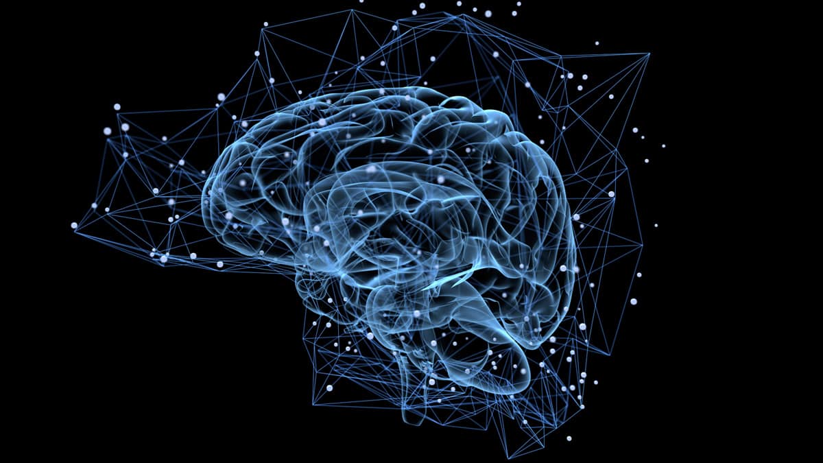 Inside the Super Brain: Integrating Mind, Matter, and Consciousness
