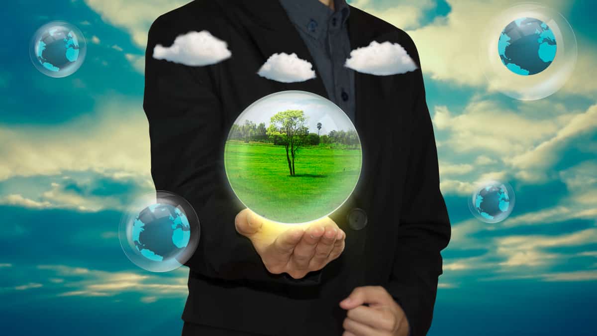 How Highly Conscious Leaders Are Engaging the Problem of Sustainability