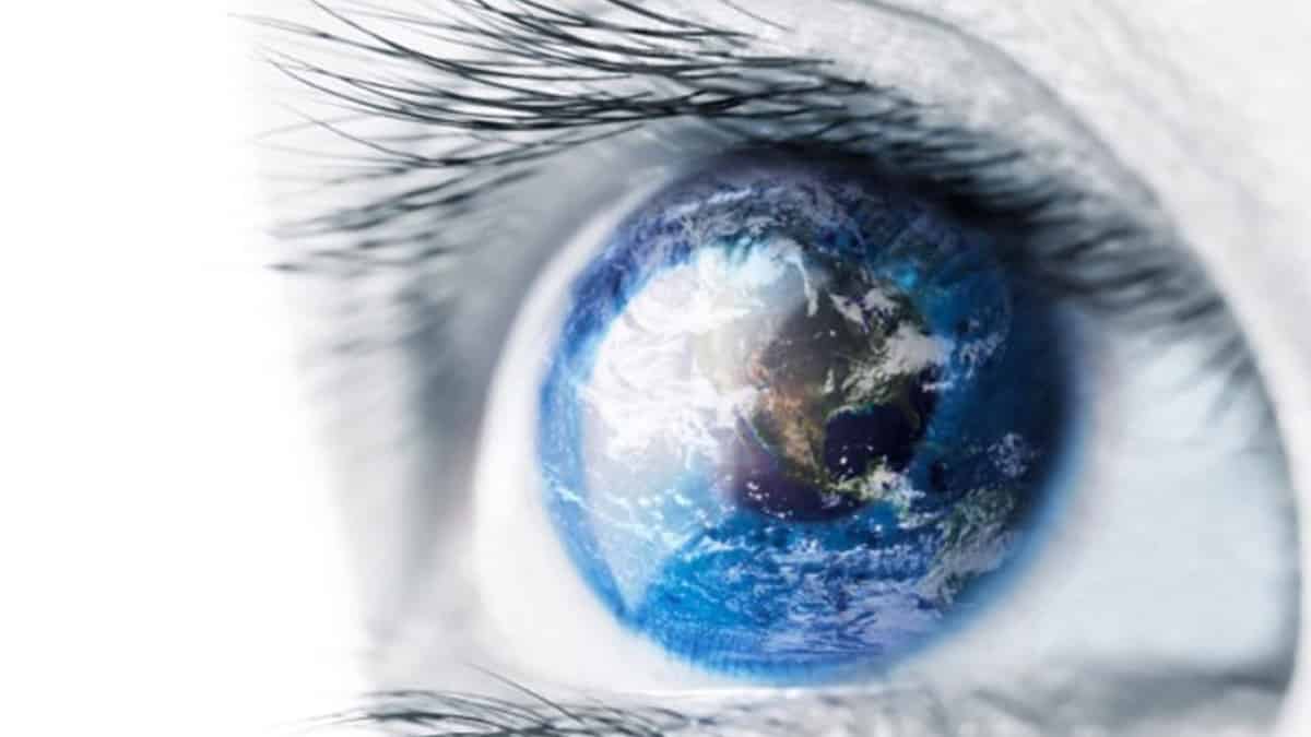 Wicked and Wise: Climate Change, Democracy, and Integral Theory