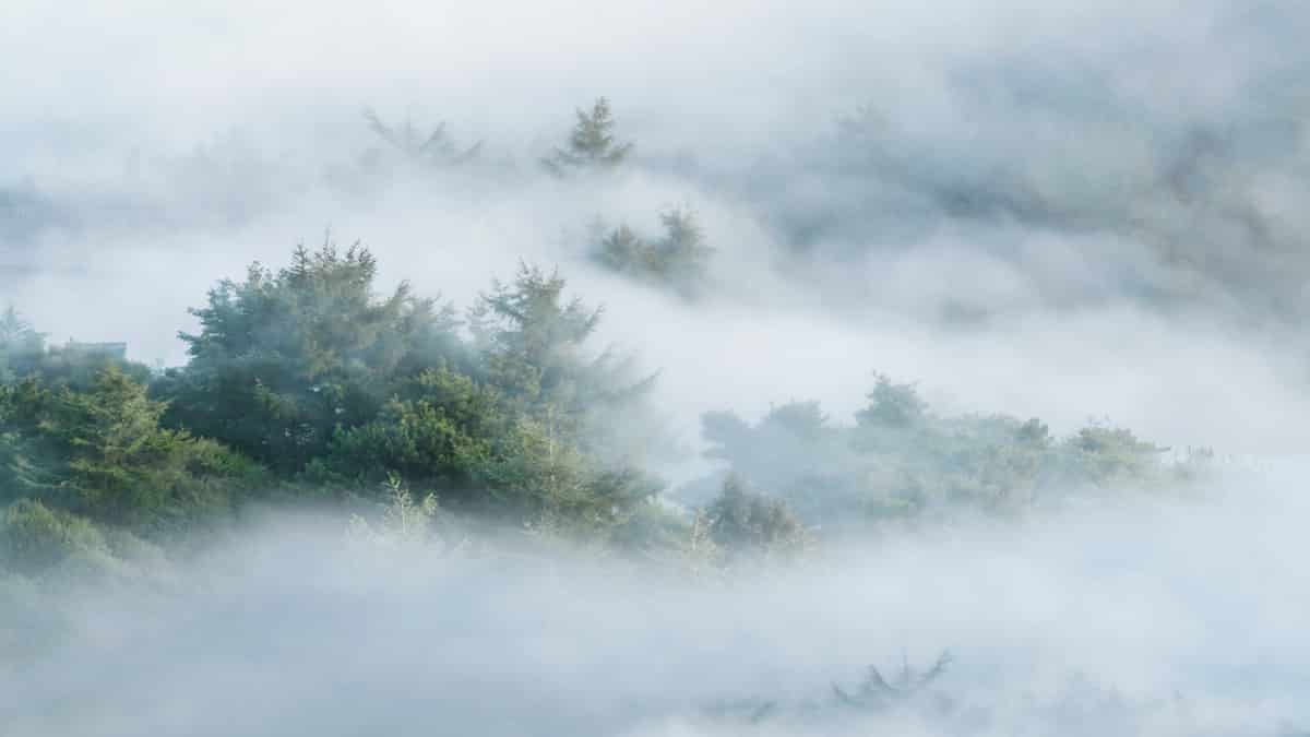 Satdharma Reflections and Meditations