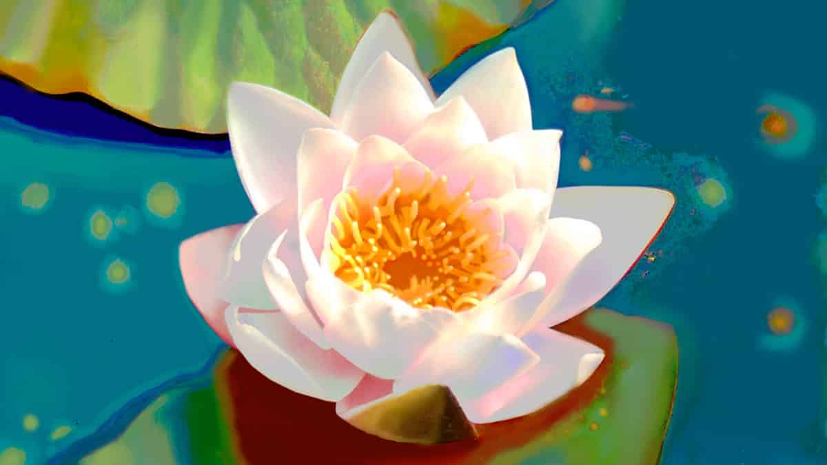 Why Love Is Such a Mess