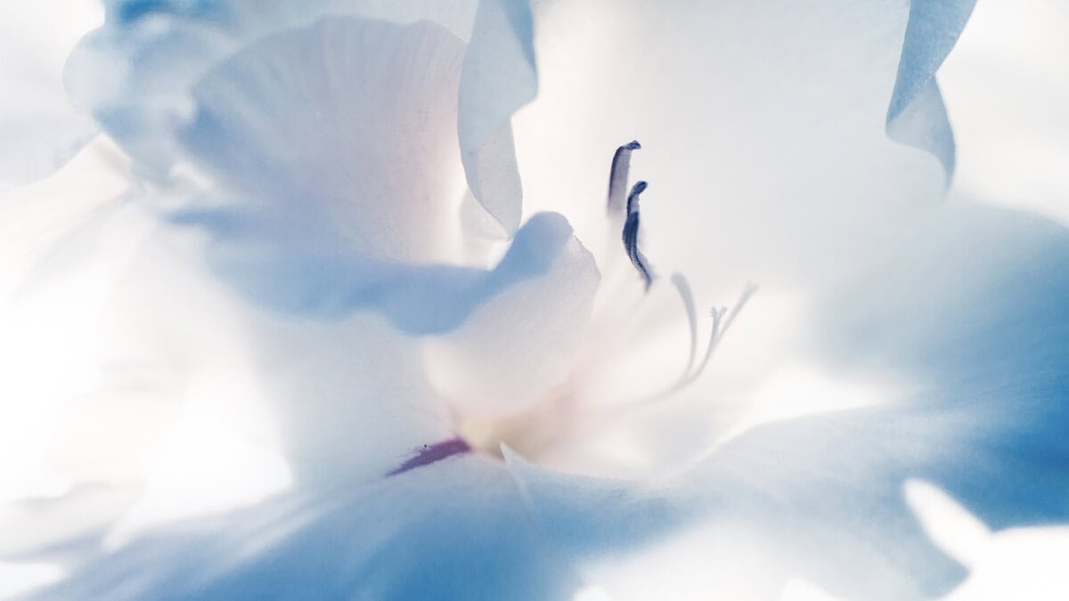 The Keys to Feminine Power