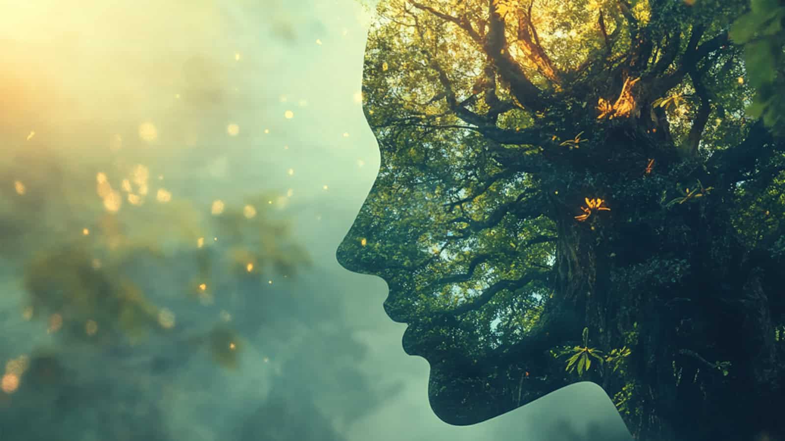 Exploring Teal and Turquoise Psychotherapy